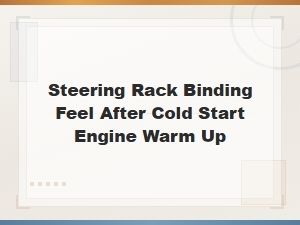 Steering Rack Binding After Cold Start and Warm Up Diagnosis